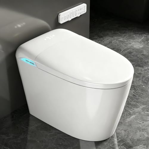 TOTTE Smart Toilet with Bidet Built-in