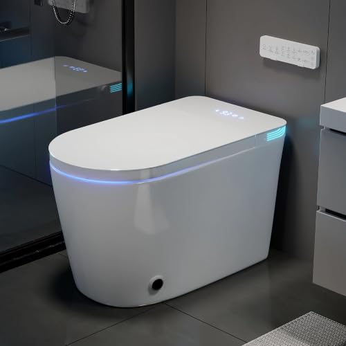 TOTTE Smart Toilet with Bidet Built-in