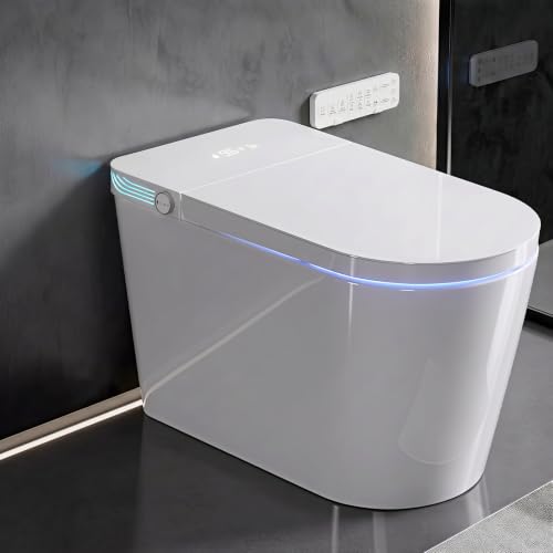TOTTE Smart Toilet with Bidet Built-in