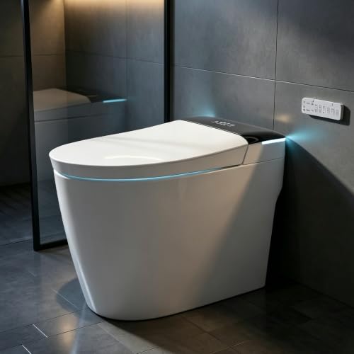 TOTTE Smart Toilet with Bidet